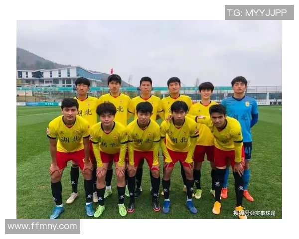 武汉网球队实力分析及其在国内外赛事中的表现评估